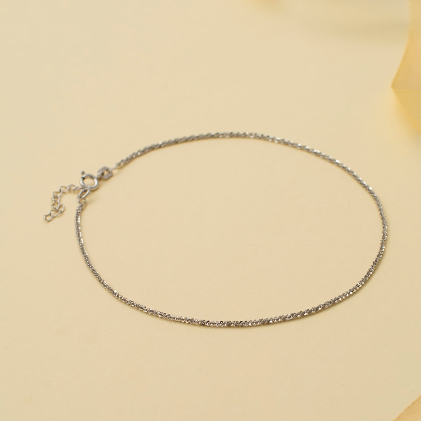 Shiny Delicate Silver Anklet